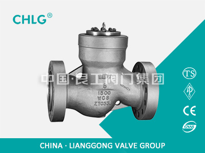 Power Station Check Valve