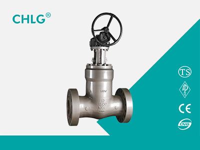 Power Station Gate Valve