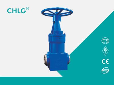 forged steel plant type gate valves - 1