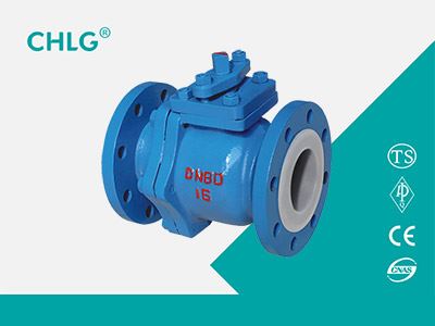 Check Valve Lined Teflon