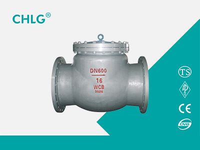 Cast Steel Check Valve