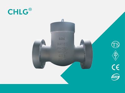 Power Station Check Valve