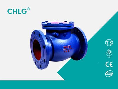cast iron check valves